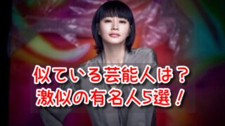 キムヘス　似てる　芸能人　誰　笑顔　泣き顔　激似　有名人　5選