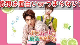 君のハートに魔法をかけろ　感想　面白い　つまらない　評価　評判
